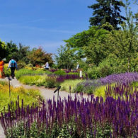 Garden Parks:Bellevue Botanical Garden
