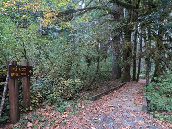 Trailhead for River Access Nature Trail, leaves on the ground and a trail leading into the woods.