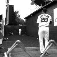 dad next door microchimerism