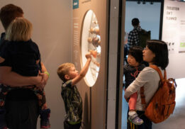 The Amazing Life exhibit at the Burke Museum - free admission on Free First Thursday.