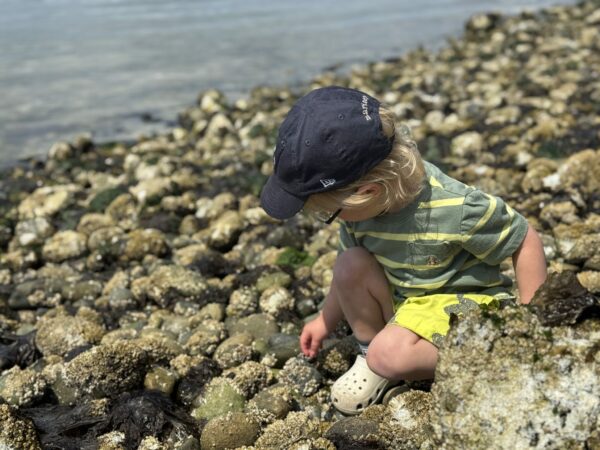 Child crouching near the shoreline, exploring rocks and tidepools while beachcombing on Camano Island