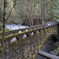 Stone bridge over the creek at Whatcom Falls Park in Bellingham, Washington, with forest views and waterfall access