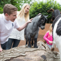Family petting goats at the Woodland Park Zoo