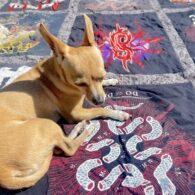 sustainable holiday gifting