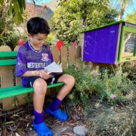 Seattle Little Free Libraries and Pantries