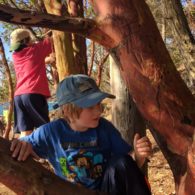 nature / Jeff Lee column