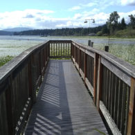 Wetland boardwalks: The boardwalk in Marymoor Park ends in Lake Sammamish.