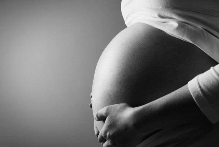 Washington political news for families