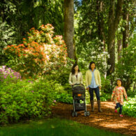 Keith Brofksy_Bloedel2-6133