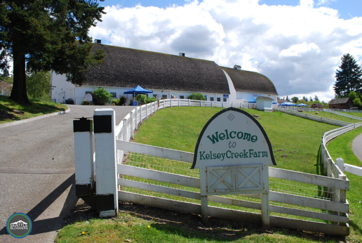 kelsey-creek-farm