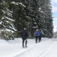 Guided snowshoe hike at Lake Easton State Park with families walking through snowy forest.