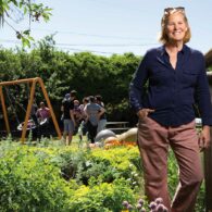 perfect summer day Liz Bullard