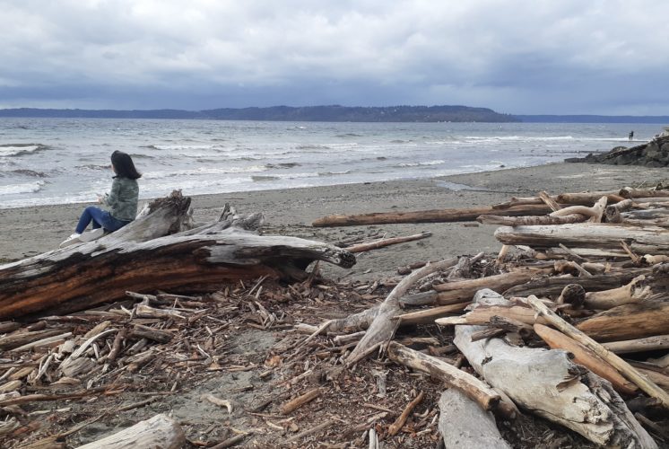Saltwater State Park beach in Des Moines, Washington, with gray sky and calm Puget Sound shoreline in late fall