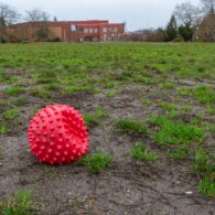 Controversy over Wallingford Playfield use